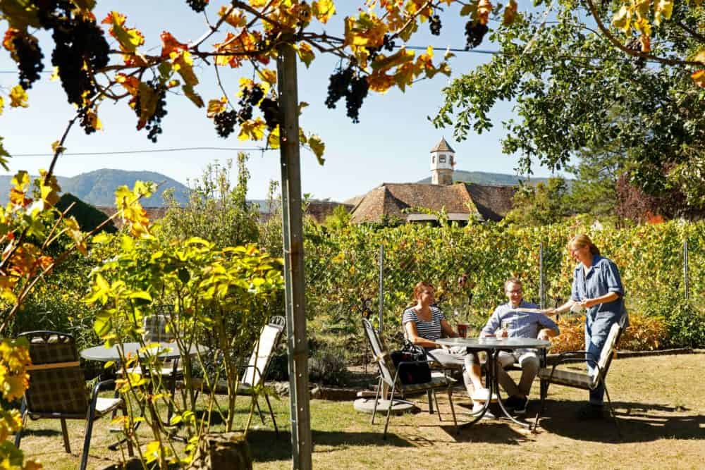 Picknickplätze Edenkoben